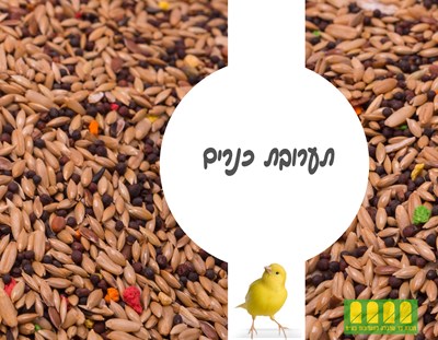 מזון לכנרית