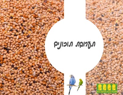 תערובת פרמיום לתוכונים 1 ק"ג